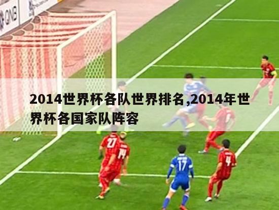 2014世界杯各队世界排名,2014年世界杯各国家队阵容