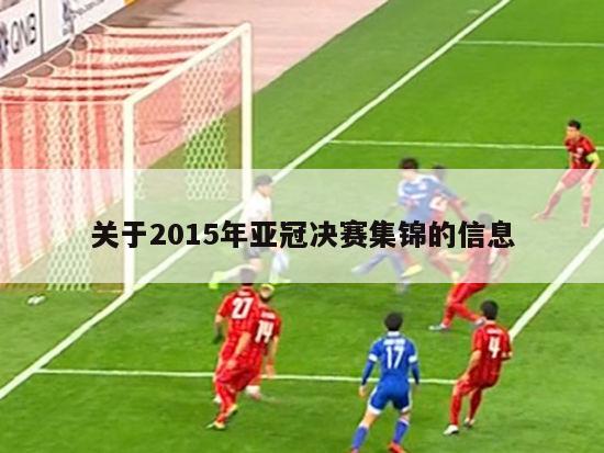 关于2015年亚冠决赛集锦的信息