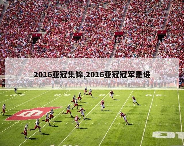 2016亚冠集锦,2016亚冠冠军是谁