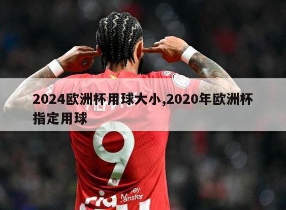 2024欧洲杯用球大小,2020年欧洲杯指定用球