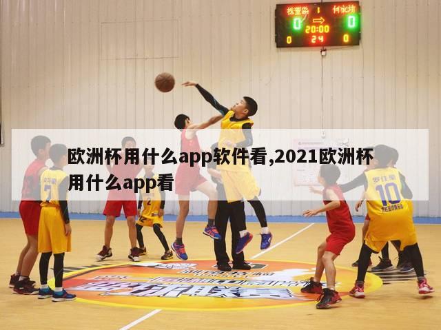 欧洲杯用什么app软件看,2021欧洲杯用什么app看