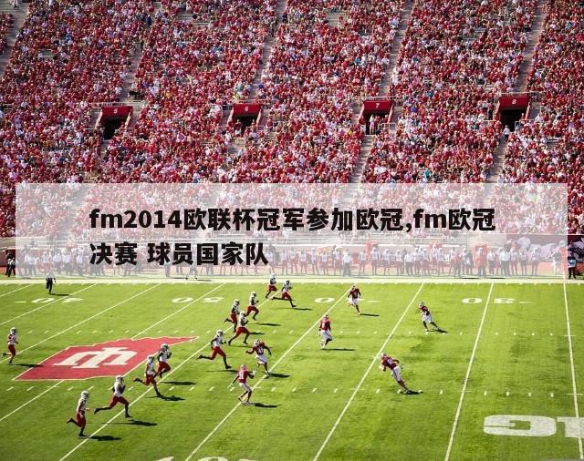 fm2014欧联杯冠军参加欧冠,fm欧冠决赛 球员国家队