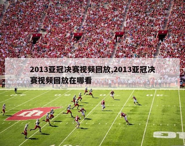 2013亚冠决赛视频回放,2013亚冠决赛视频回放在哪看