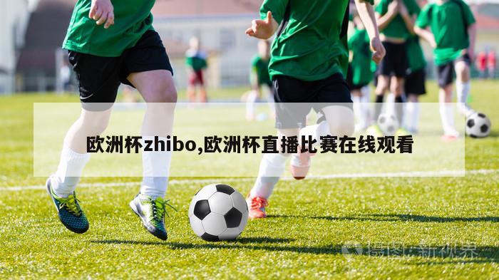 欧洲杯zhibo,欧洲杯直播比赛在线观看