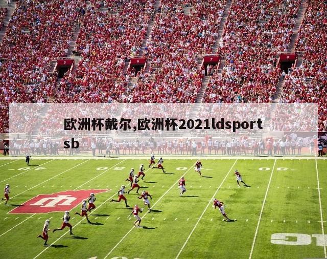 欧洲杯戴尔,欧洲杯2021ldsportsb