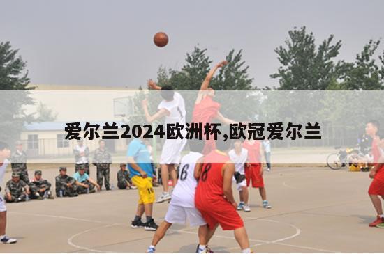 爱尔兰2024欧洲杯,欧冠爱尔兰