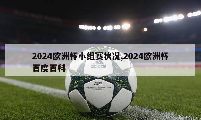 2024欧洲杯小组赛状况,2024欧洲杯百度百科