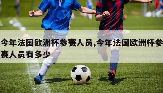 今年法国欧洲杯参赛人员,今年法国欧洲杯参赛人员有多少