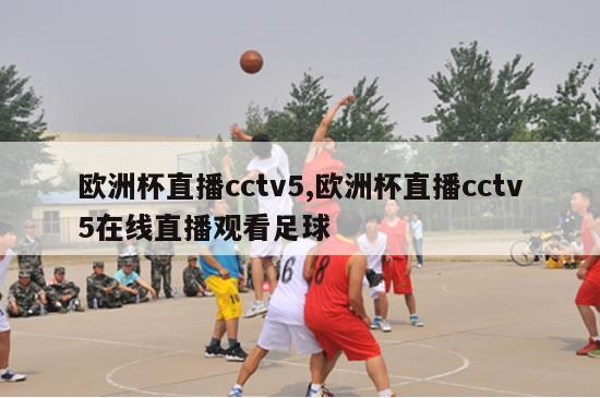 欧洲杯直播cctv5,欧洲杯直播cctv5在线直播观看足球