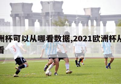 欧洲杯可以从哪看数据,2021欧洲杯从哪里看