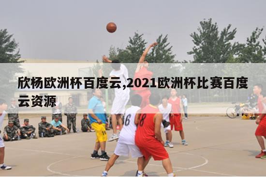 欣杨欧洲杯百度云,2021欧洲杯比赛百度云资源