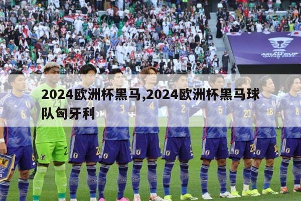 2024欧洲杯黑马,2024欧洲杯黑马球队匈牙利