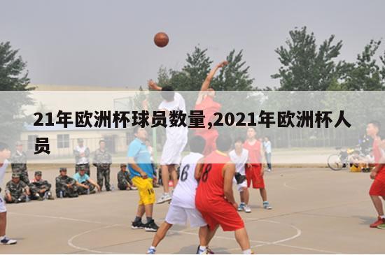 21年欧洲杯球员数量,2021年欧洲杯人员